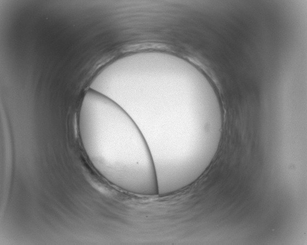 X0000063500013200602172131