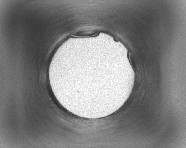 X0000063500015200602172131