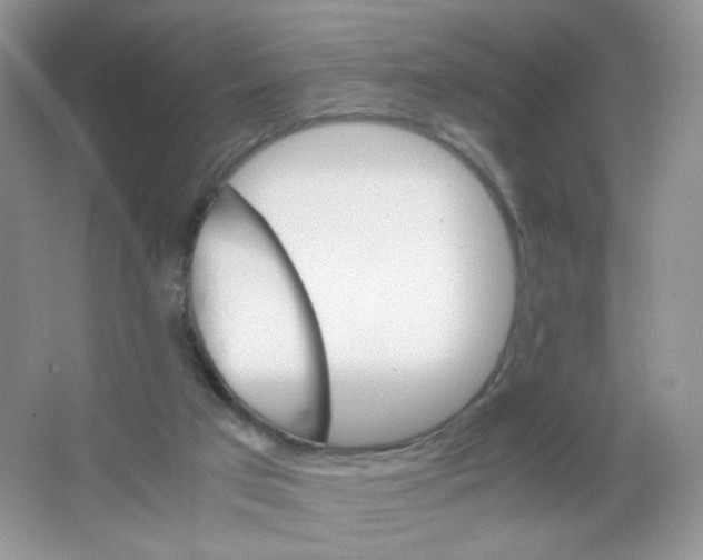 X0000063500017200602172131