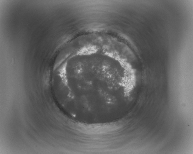 X0000063500018200602172131