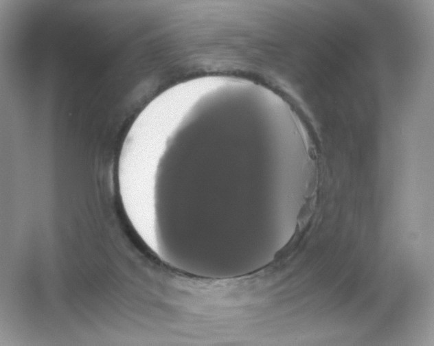 X0000063500019200602172131