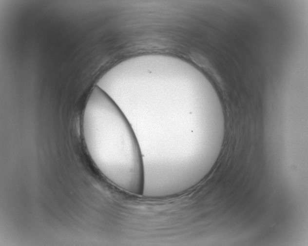 X0000063500021200602172131