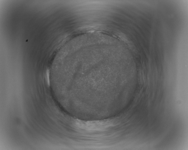 X0000063500022200602172131