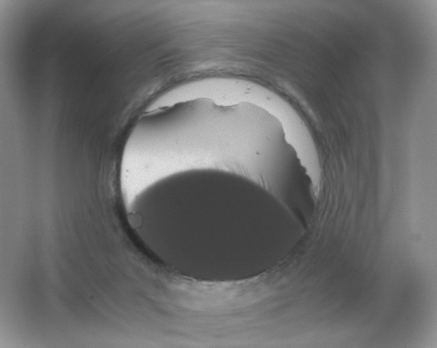 X0000063500023200602172131