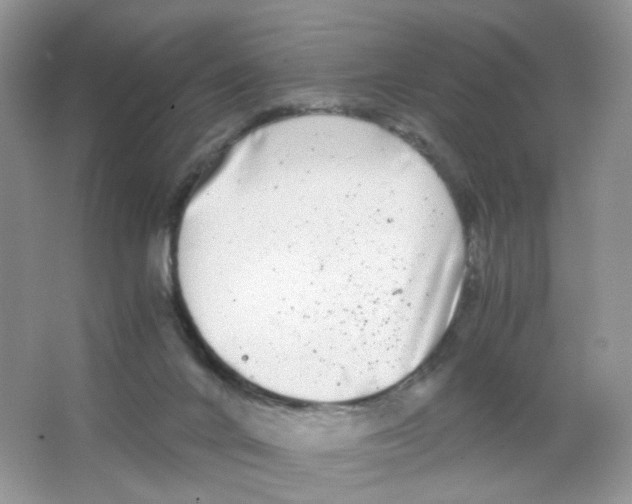 X0000063500024200602172131