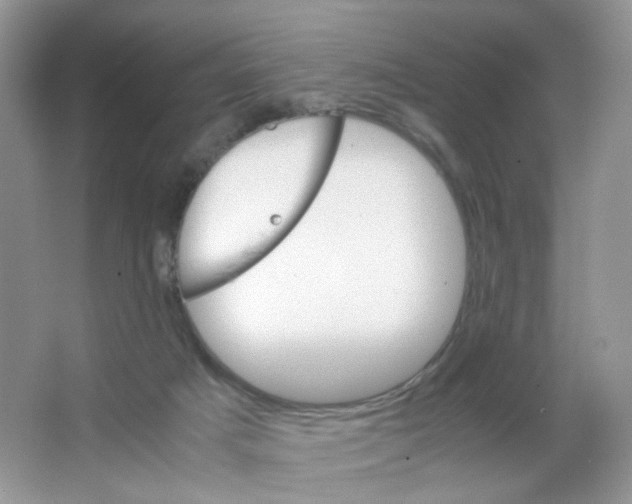 X0000063500025200602172131