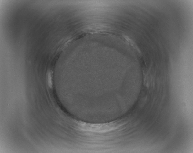 X0000063500026200602172131