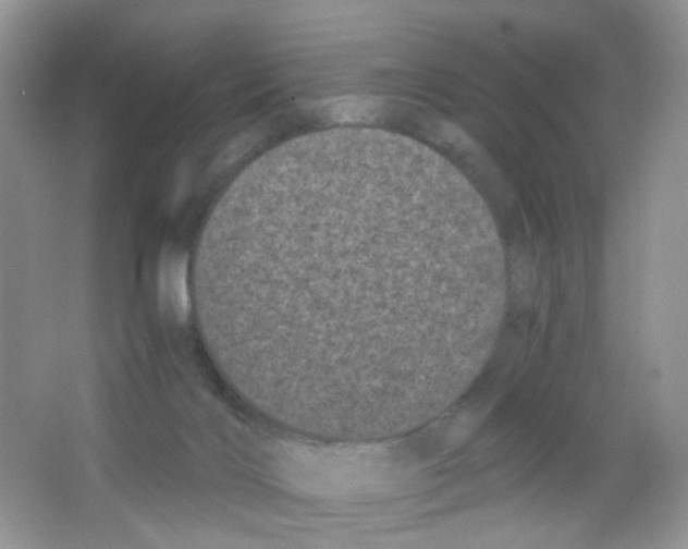 X0000063500028200602172131