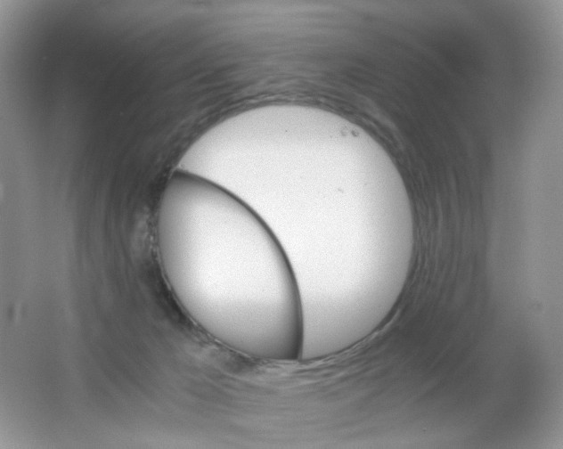 X0000063500029200602172131