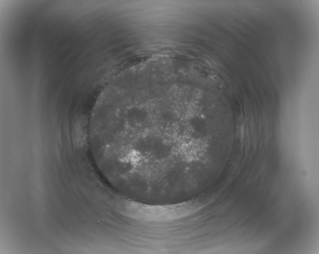 X0000063500030200602172131