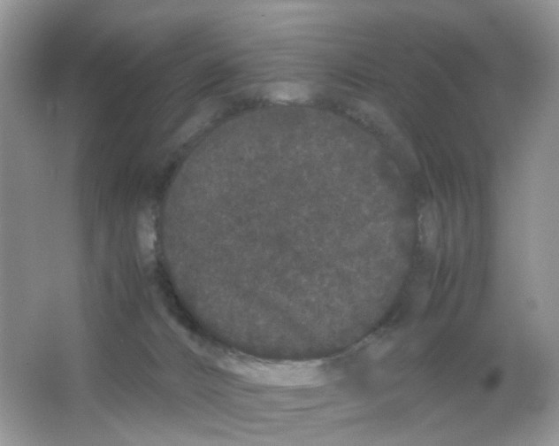 X0000063500032200602172131