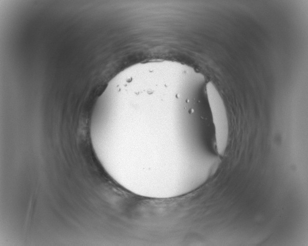 X0000063500033200602172131