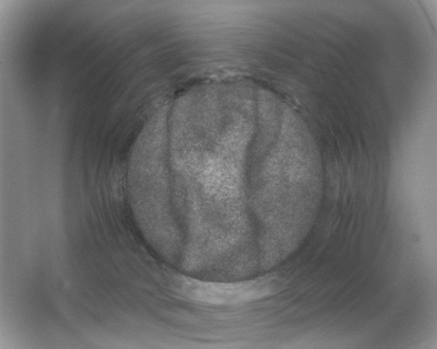 X0000063500034200602172131