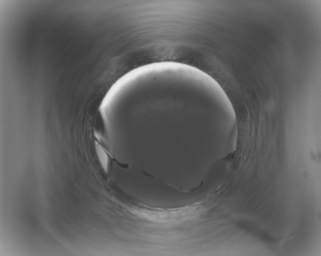 X0000063500035200602172131