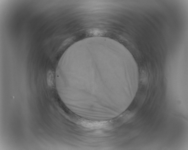 X0000063500036200602172131