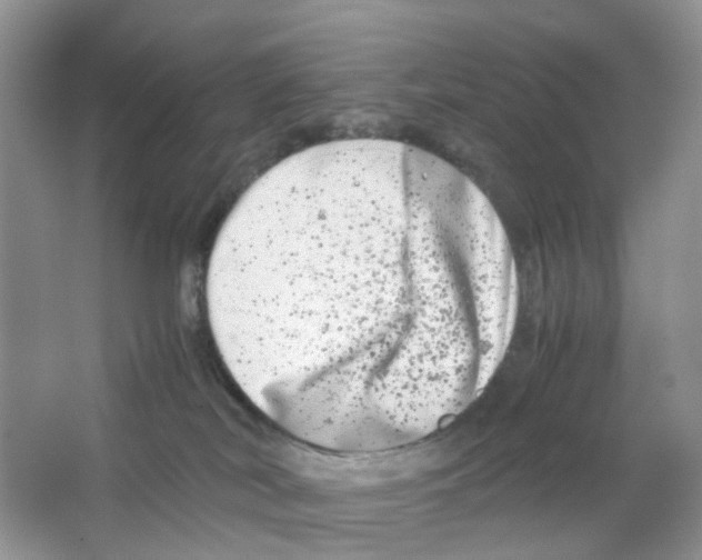 X0000063500038200602172131