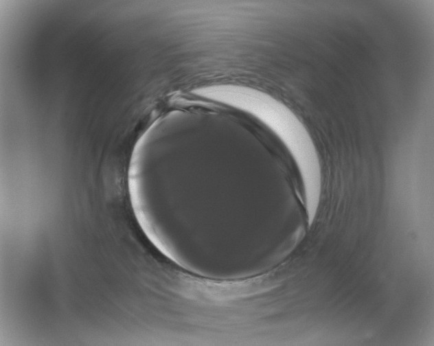 X0000063500039200602172131