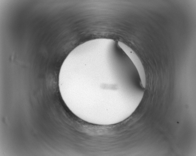 X0000063500040200602172131