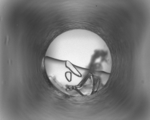 X0000063500041200602172131