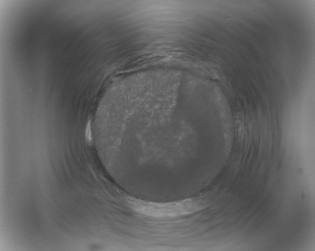 X0000063500042200602172131