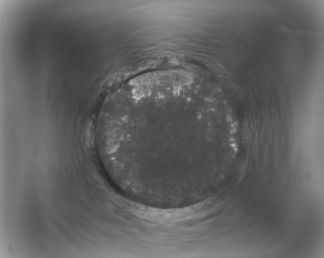 X0000063500043200602172131