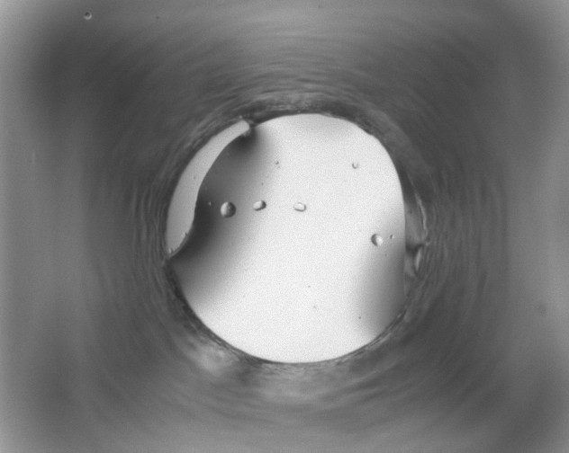 X0000063500045200602172131