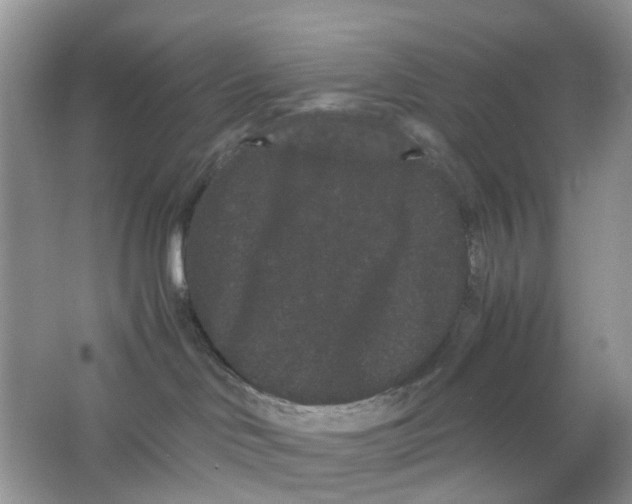 X0000063500046200602172131