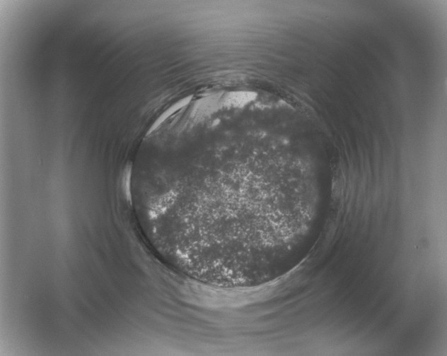 X0000063500047200602172131