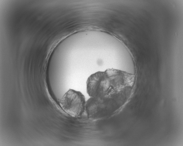 X0000063500049200602172130