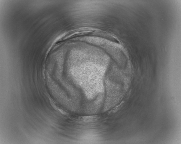 X0000063500050200602172130