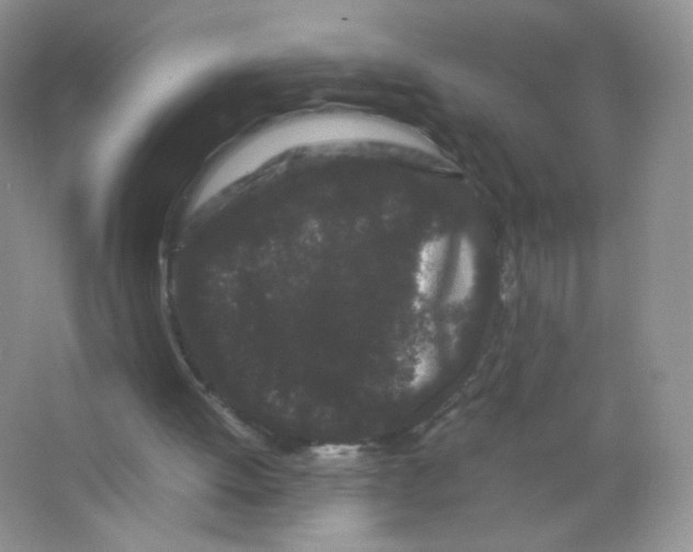 X0000063500052200602172130