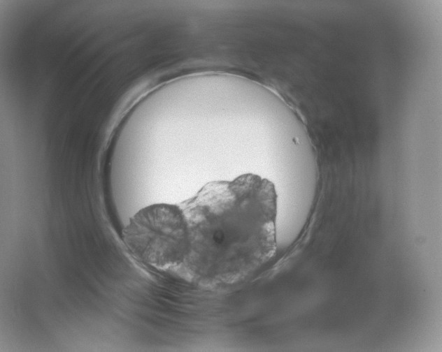 X0000063500053200602172130