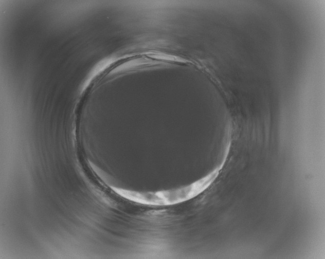 X0000063500054200602172130