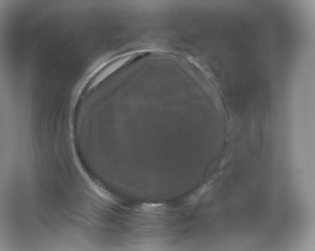 X0000063500055200602172130