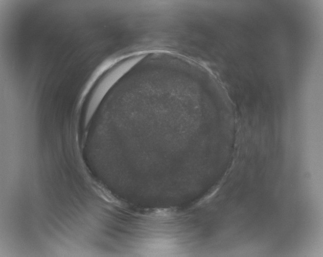 X0000063500056200602172130