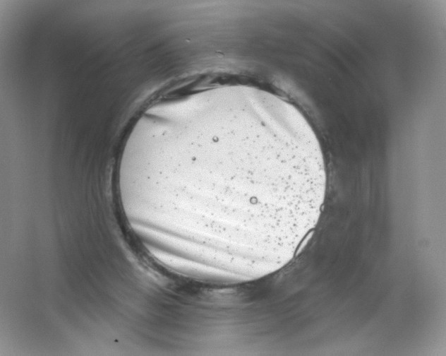 X0000063500058200602172130