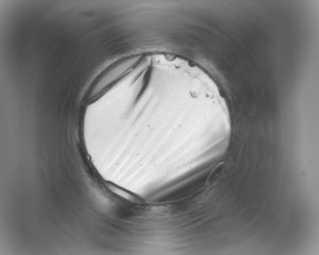 X0000063500060200602172130