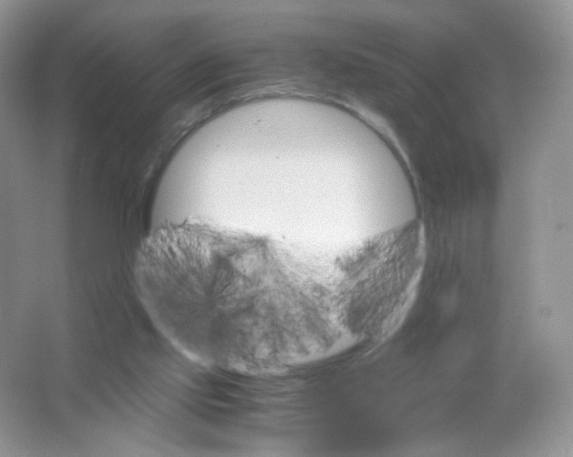 X0000063500061200602172130