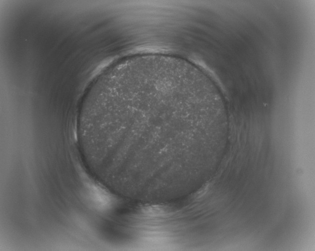 X0000063500062200602172130