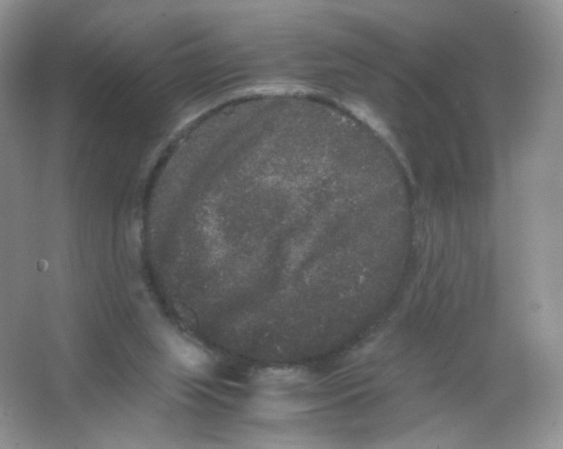 X0000063500063200602172130