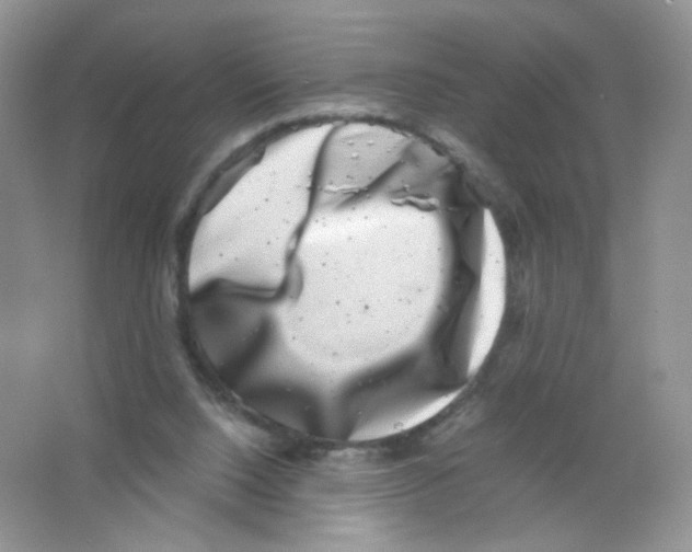 X0000063500064200602172130