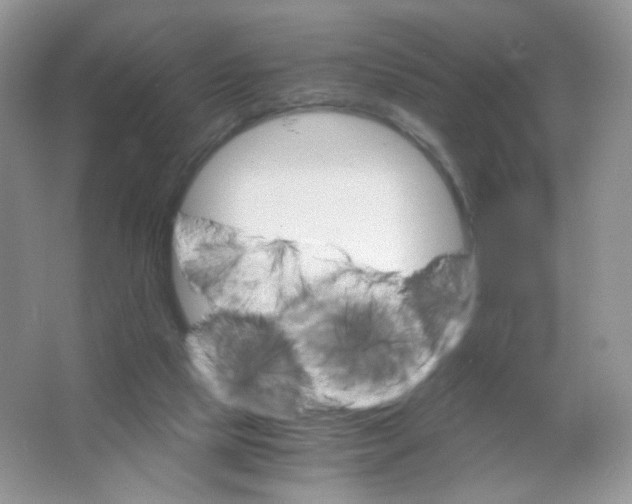 X0000063500065200602172130