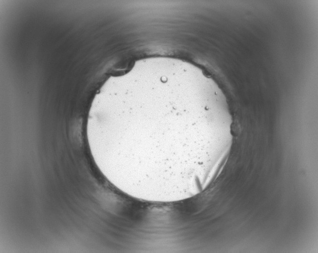 X0000063500066200602172130