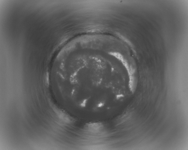 X0000063500067200602172130