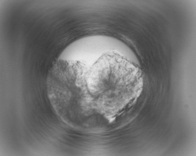 X0000063500069200602172130