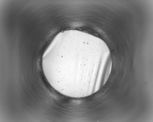 X0000063500071200602172130