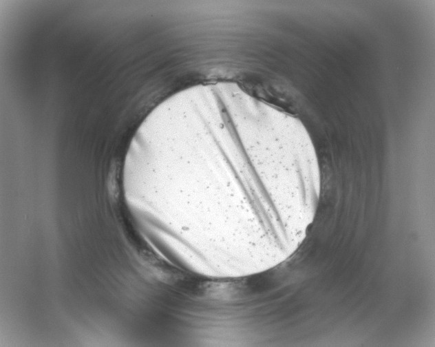 X0000063500074200602172130