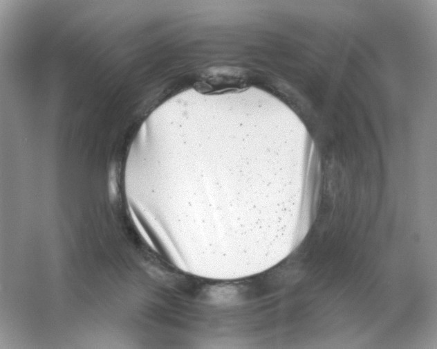 X0000063500075200602172130