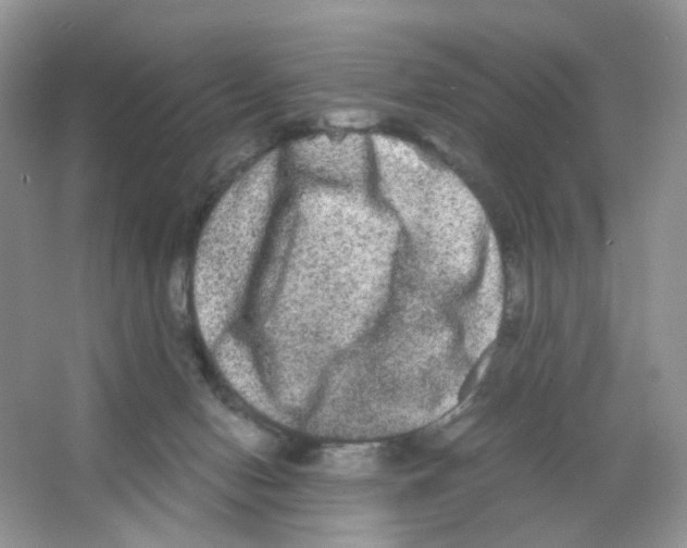 X0000063500078200602172130