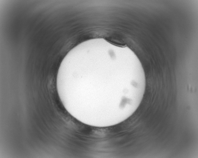 X0000063500079200602172130